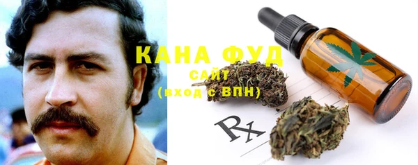 амф Касимов