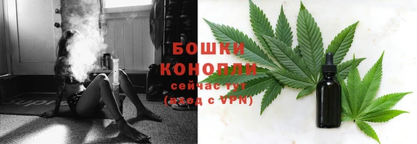 ГАЛЛЮЦИНОГЕННЫЕ ГРИБЫ Карпинск