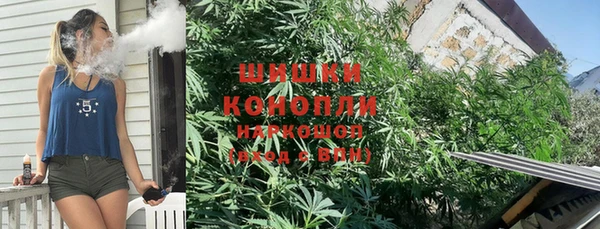 сатива Карталы