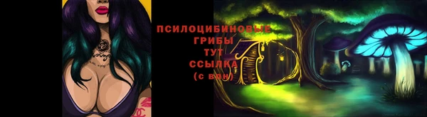 сатива Карталы