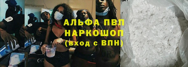 сатива Карталы
