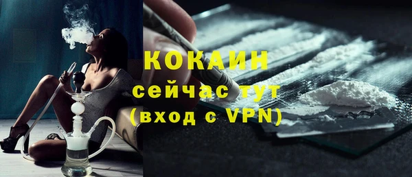 сатива Карталы