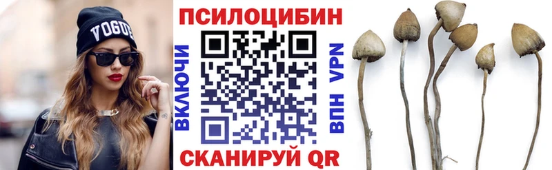 Псилоцибиновые грибы мухоморы  Купить где  Горбатов 